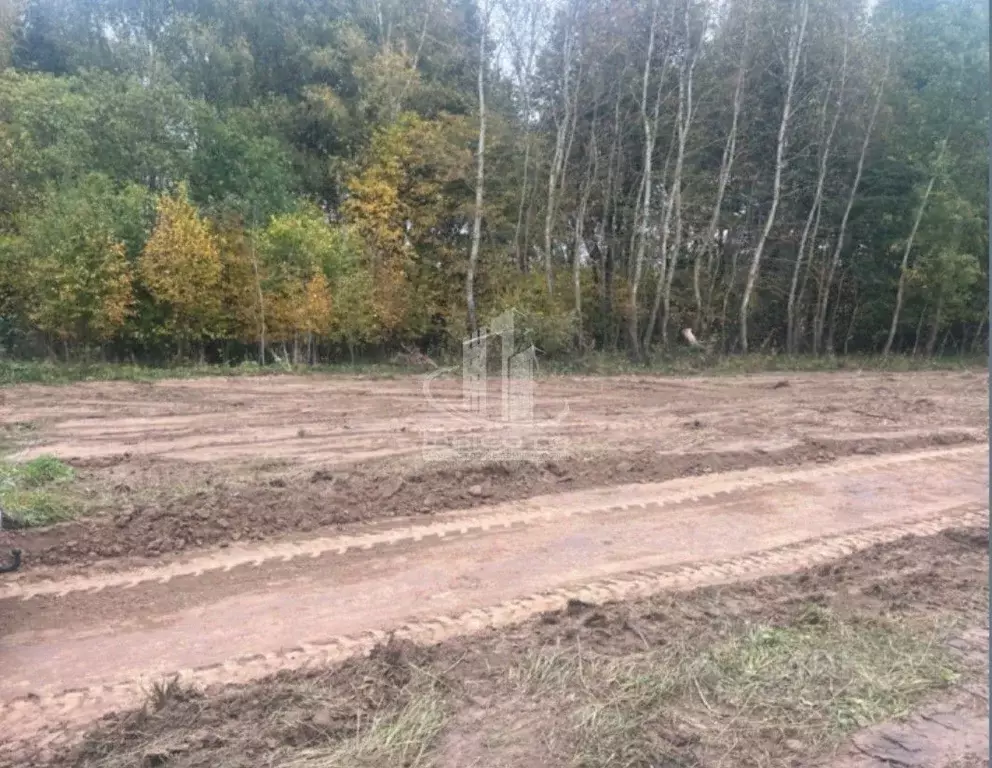 Участок в Калужская область, Ферзиковский район, Грабцево с/пос, с. ... - Фото 2