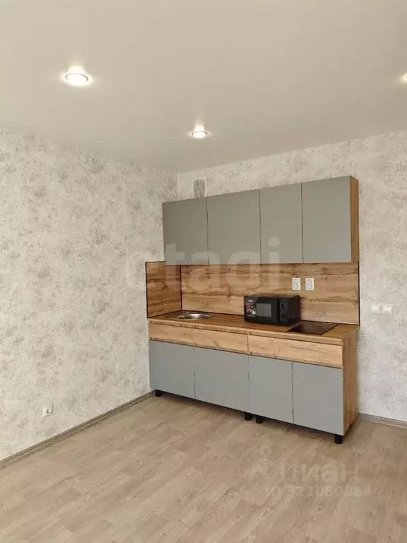 Студия Амурская область, Благовещенский район, с. Чигири Восточная ... - Фото 2