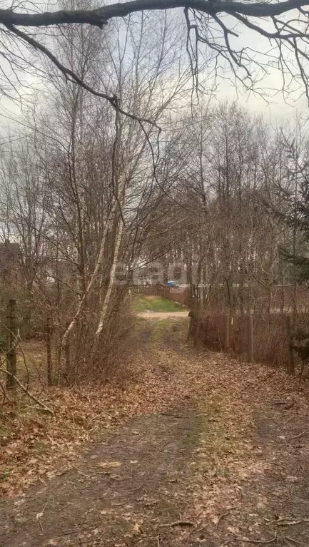 Участок в Калининградская область, Пионерский Степной СНТ, 763 (4.7 ... - Фото 1