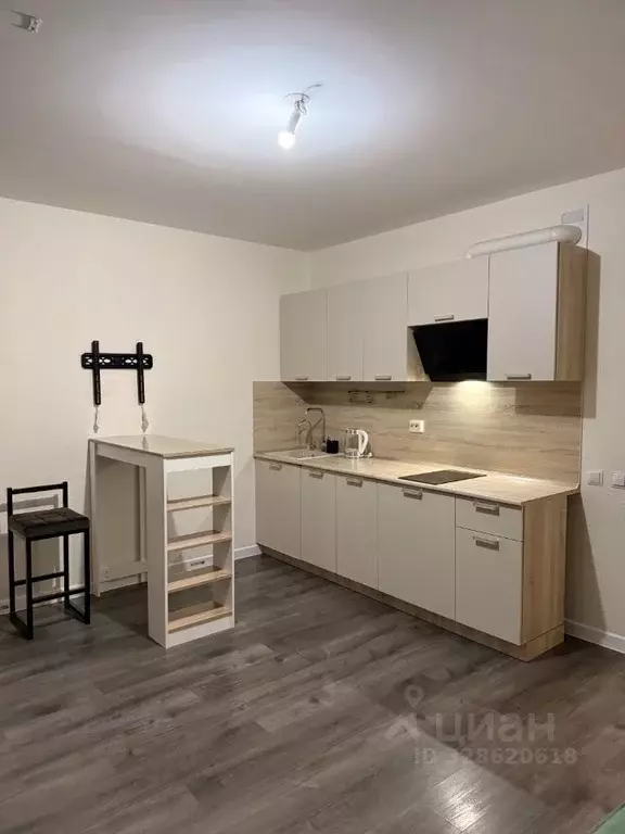 Студия Ленинградская область, Всеволожский район, пос. Бугры проезд ... - Фото 1