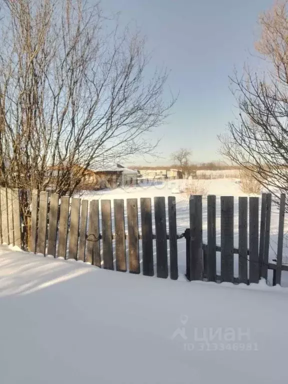 Участок в Томская область, Томск Коммунальщик СНТ, ул. Клубничная ... - Фото 1