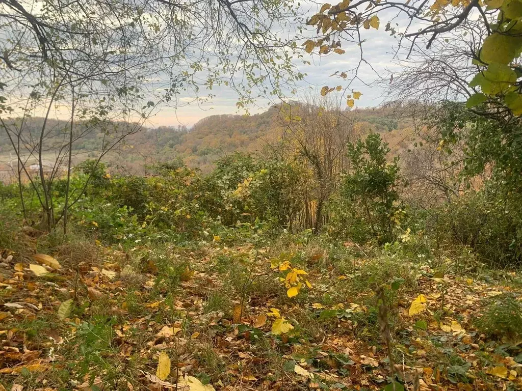 Участок в Краснодарский край, Сочи городской округ, с. Вардане-Верино, ... - Фото 1