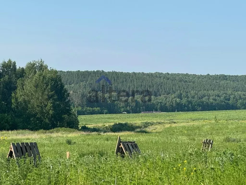 Участок в Татарстан, Высокогорское с/пос, с. Пановка ул. Полевая (13.0 ... - Фото 2