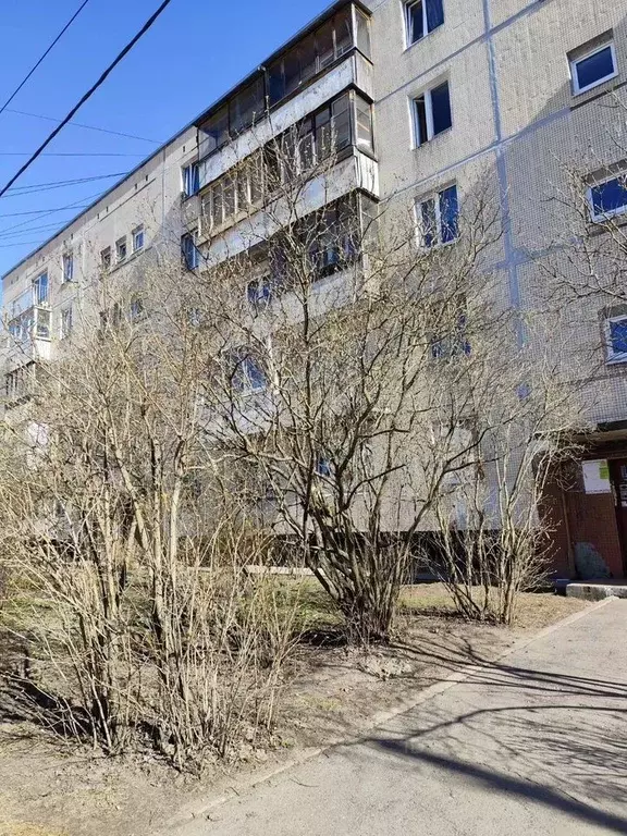 1-к кв. Санкт-Петербург Горелово тер., ш. Красносельское, 44к3 (32.0 ... - Фото 2
