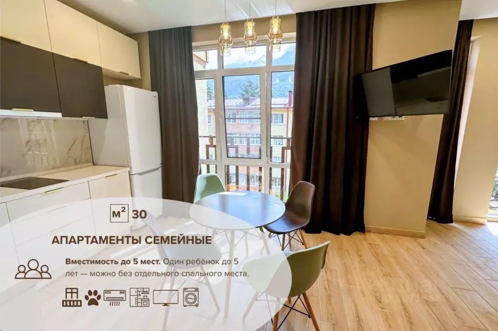 1-к кв. Краснодарский край, Сочи Красная Поляна пгт, ул. ... - Фото 0