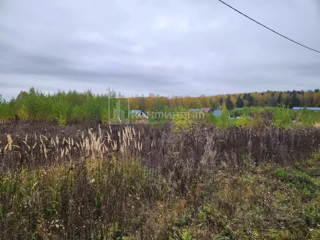 Участок в Владимирская область, Собинский муниципальный округ, д. ... - Фото 1