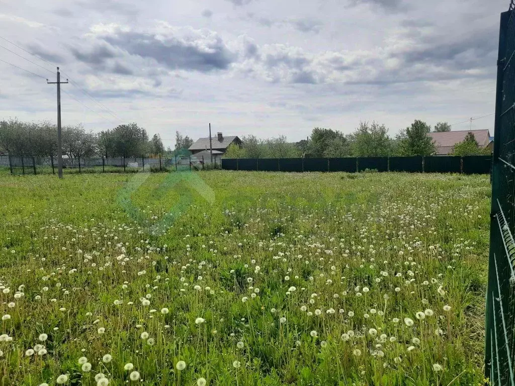 Участок в Нижегородская область, Богородский муниципальный округ, ... - Фото 1