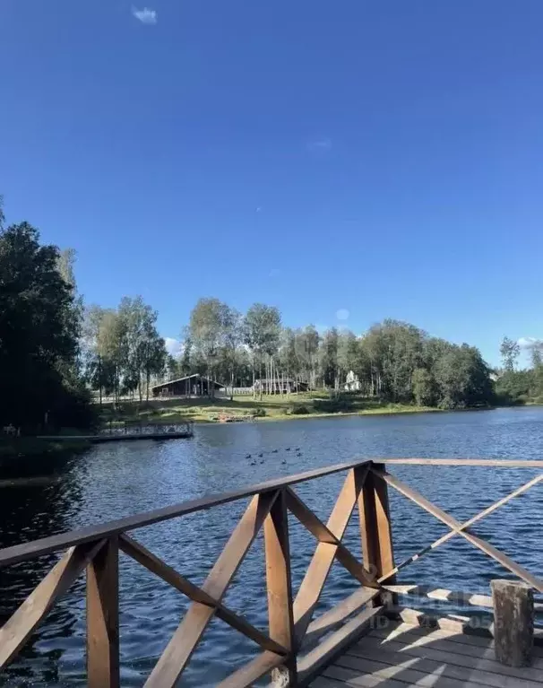 Участок в Ленинградская область, Всеволожский район, Токсовское ... - Фото 1