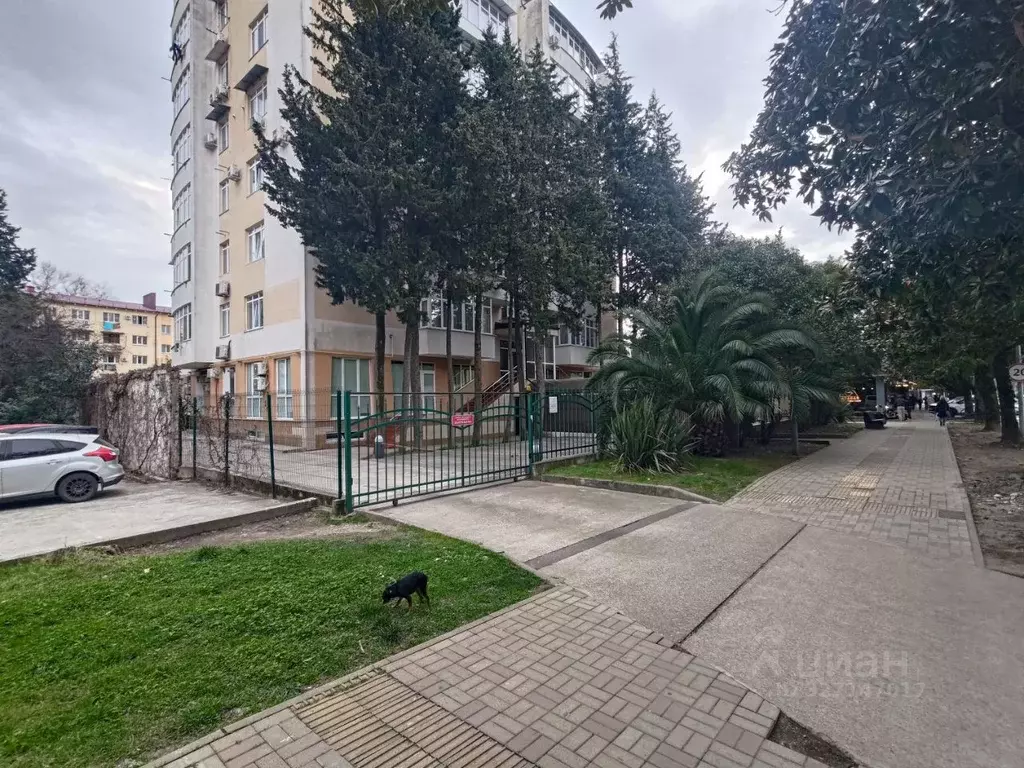 Помещение свободного назначения в Краснодарский край, Сочи Адлер ... - Фото 2