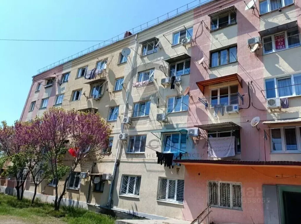 Студия Краснодарский край, Туапсинский муниципальный округ, ... - Фото 1
