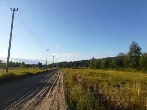 Участок в Ленинградская область, Выборгский район, Приморское ... - Фото 1