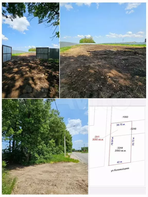 Участок 31,4 сот. (СНТ, ДНП) - Фото 0