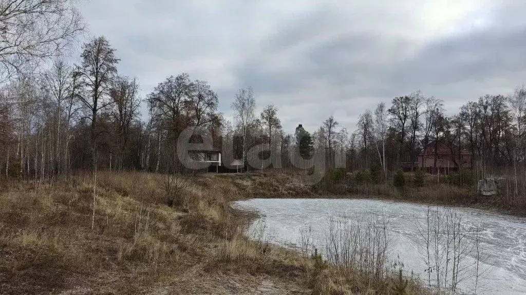 Участок в Тюменская область, Нижнетавдинский муниципальный округ, ... - Фото 1