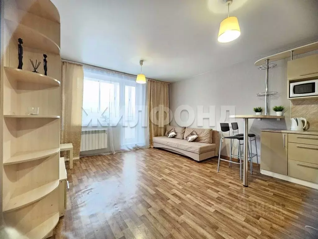 Студия Новосибирская область, Новосибирск Горский мкр, 69/1 (26.0 м) - Фото 0