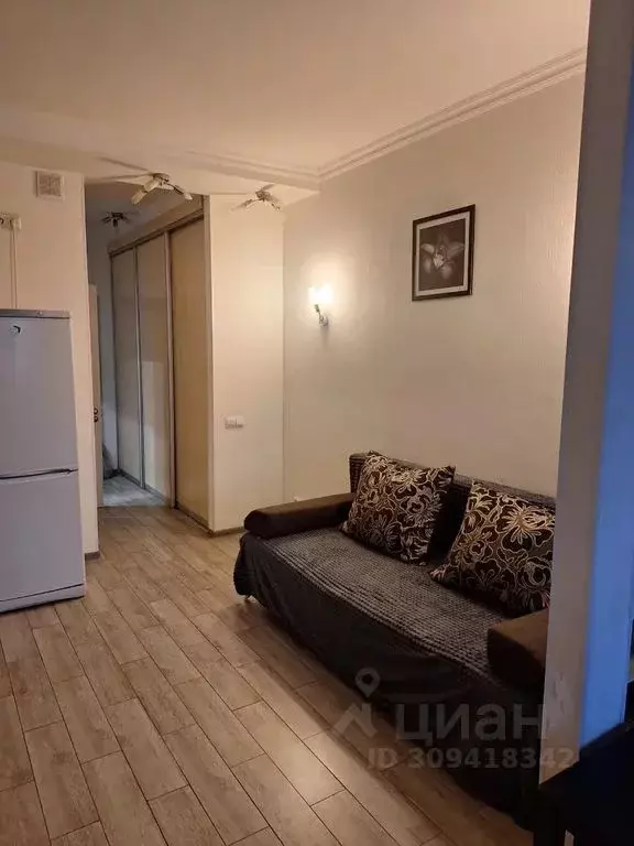 Студия Московская область, Щелково Богородский мкр, 16 (20.0 м) - Фото 2