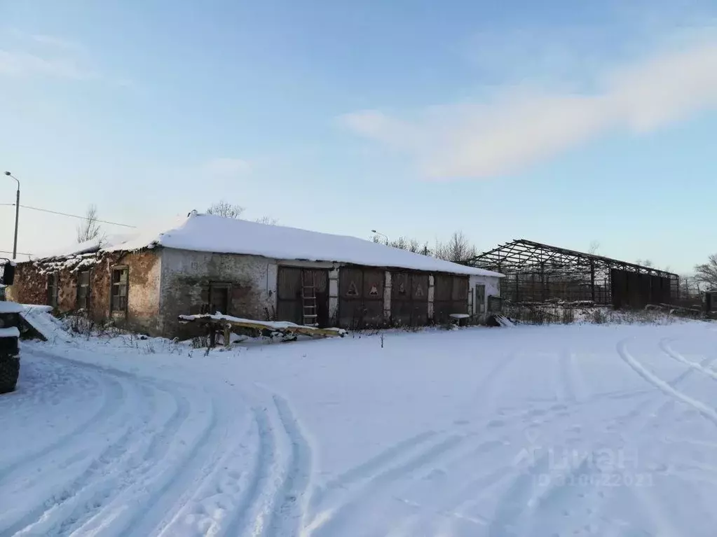 Участок в Сахалинская область, Южно-Сахалинск ул. Имени Александра ... - Фото 0