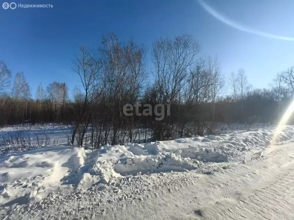 Участок в Благовещенск, СТ Мукомол (11.5 м) - Фото 1