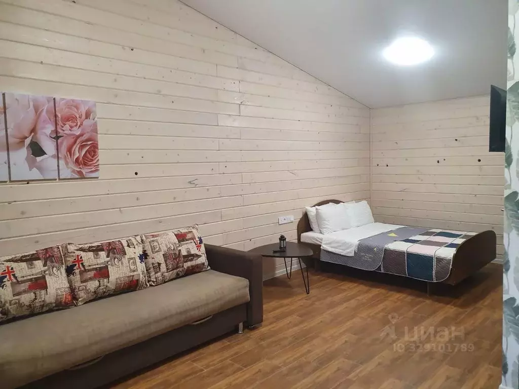 Комната Челябинская область, Чебаркуль ул. Куйбышева, 109 (20.0 м) - Фото 1