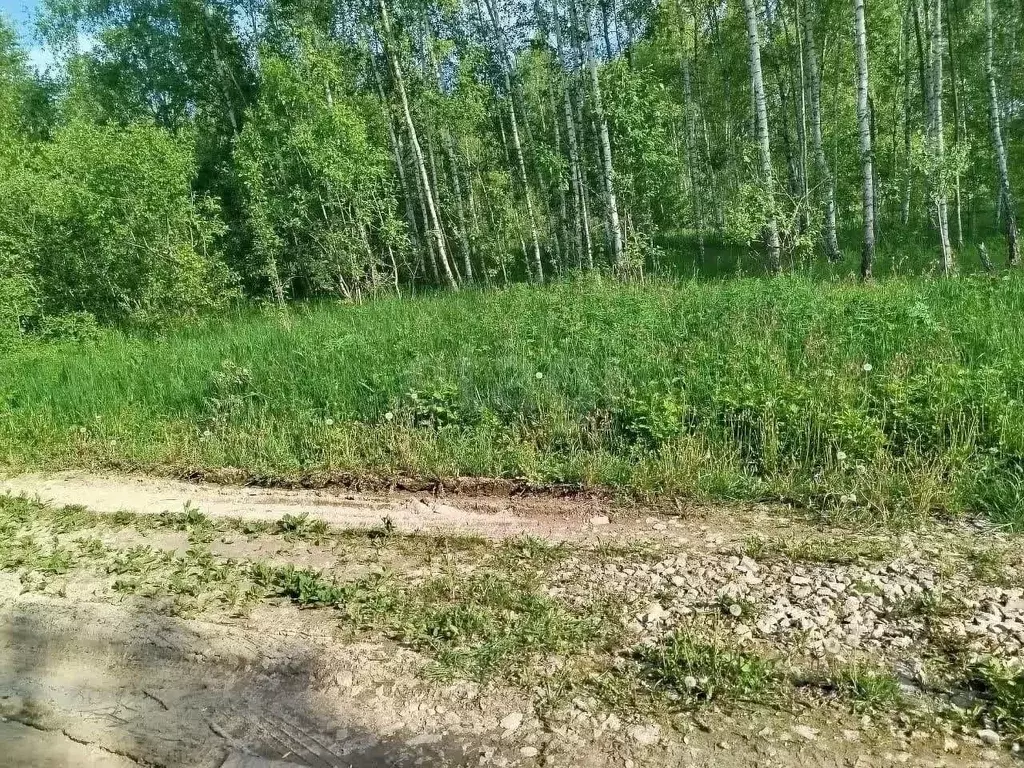 Участок в Тульская область, Заокский район, Страховское с/пос, Верхняя ... - Фото 1