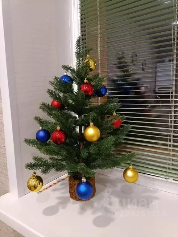 1-к кв. Ярославская область, Ростов ул. Коммунаров, 35А (39.0 м) - Фото 1