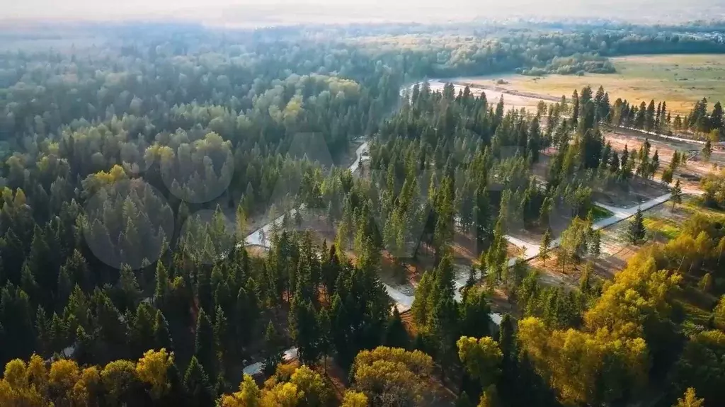 Участок 9,5 сот. (ИЖС) - Фото 1