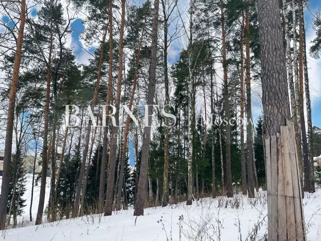 Дом 865 м на участке 29,9 сот. - Фото 1