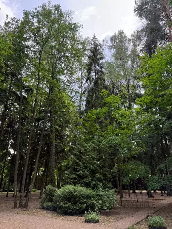 Участок в Московская область, Одинцовский городской округ, Тайм кп 12 ... - Фото 1
