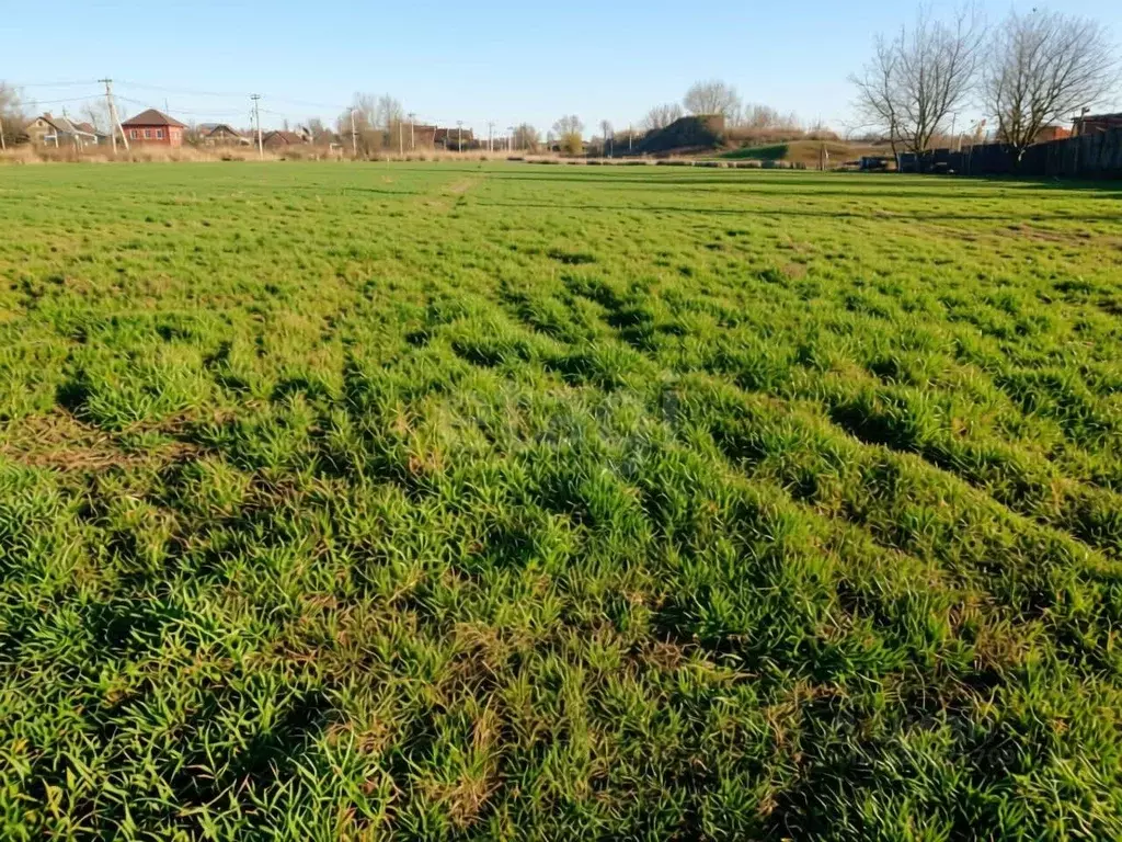 Участок в Краснодарский край, Славянск-на-Кубани Проточная ул. (464.0 ... - Фото 2