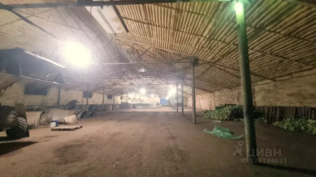 Склад в Волгоградская область, Городищенский район, Новорогачинское ... - Фото 1