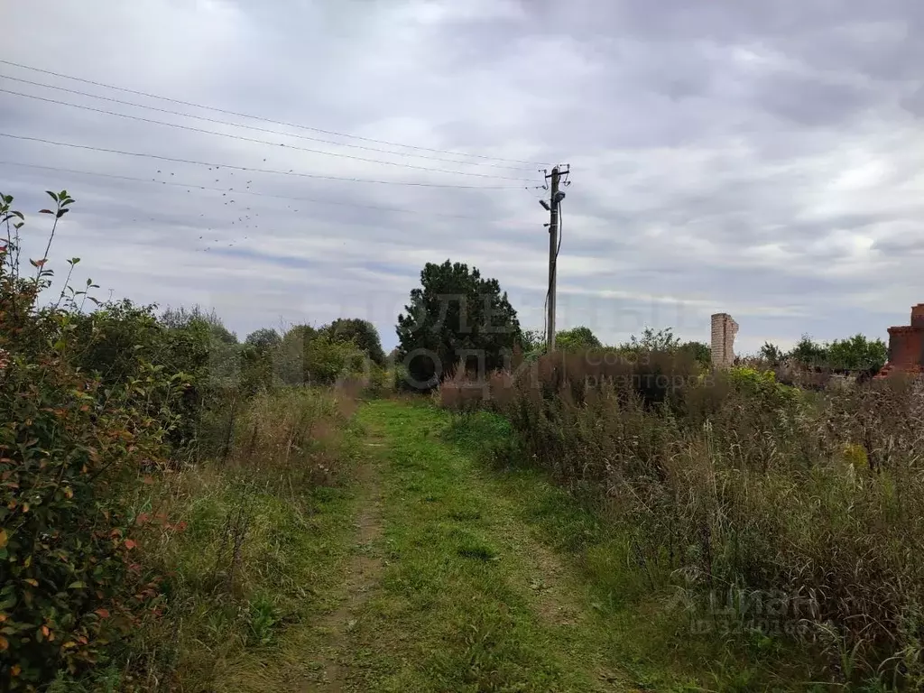 Участок в Новгородская область, Новгородский район, Бронницкое с/пос, ... - Фото 1