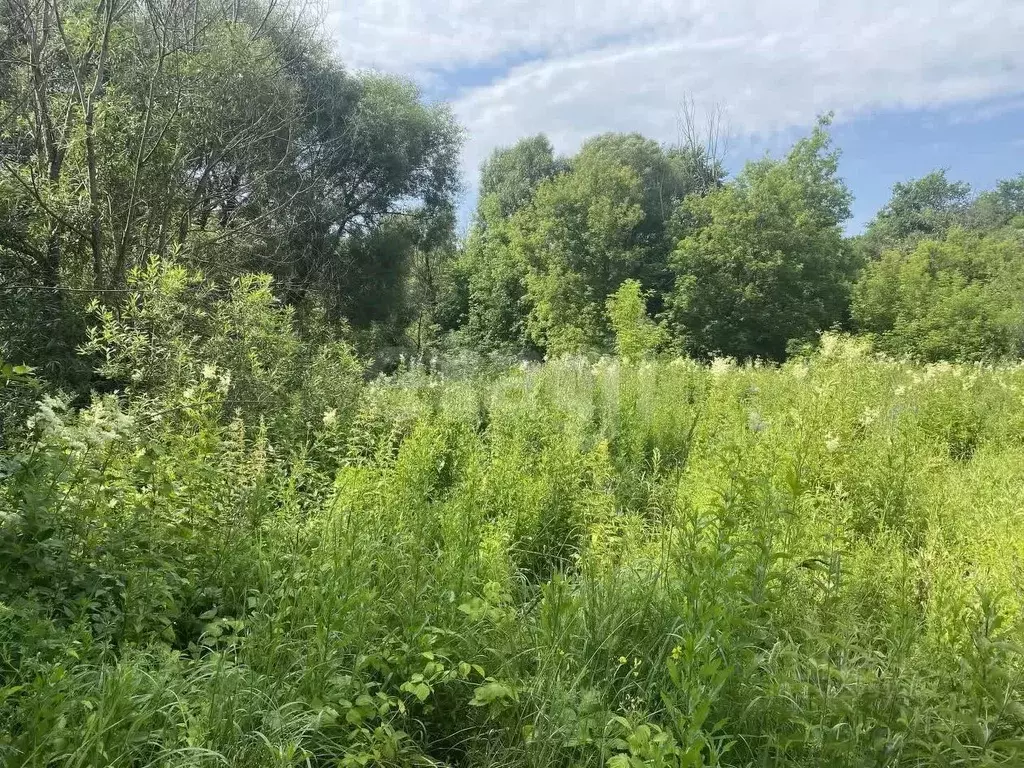 Участок в Хабаровский край, Комсомольск-на-Амуре Садовые участки,  ... - Фото 1