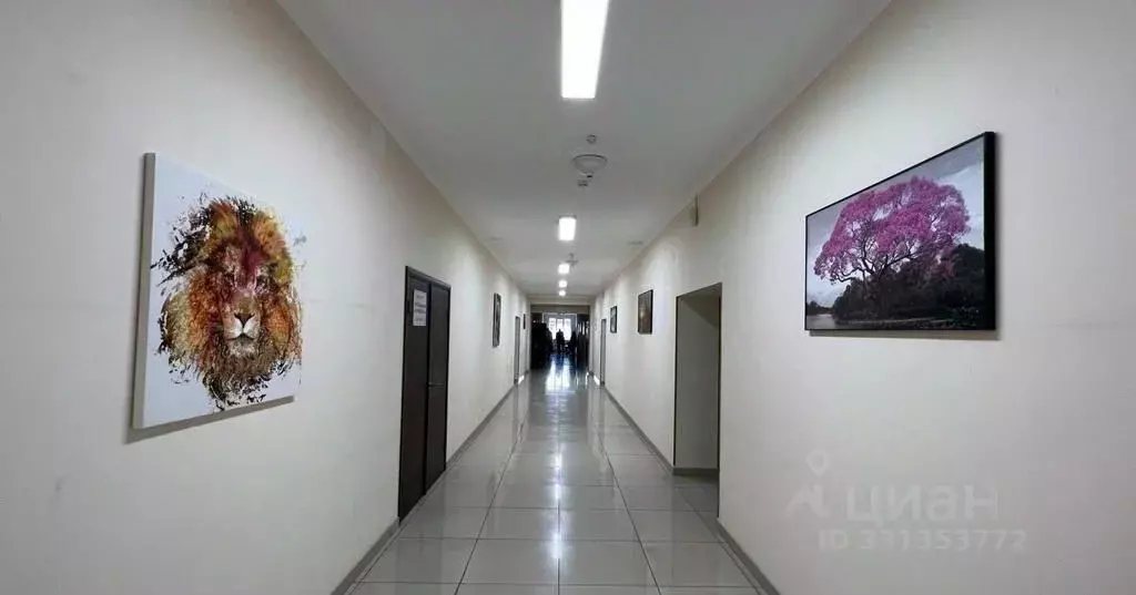 Офис в Краснодарский край, Сочи Пластунская ул., 47А (31 м) - Фото 1