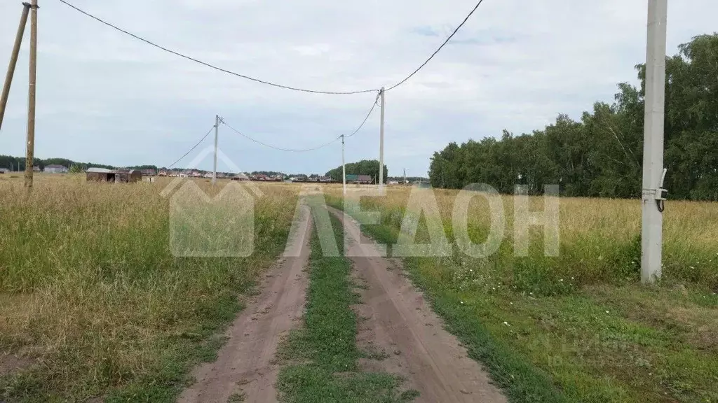 Участок в Омская область, Омский район, с. Усть-Заостровка ул. ... - Фото 1