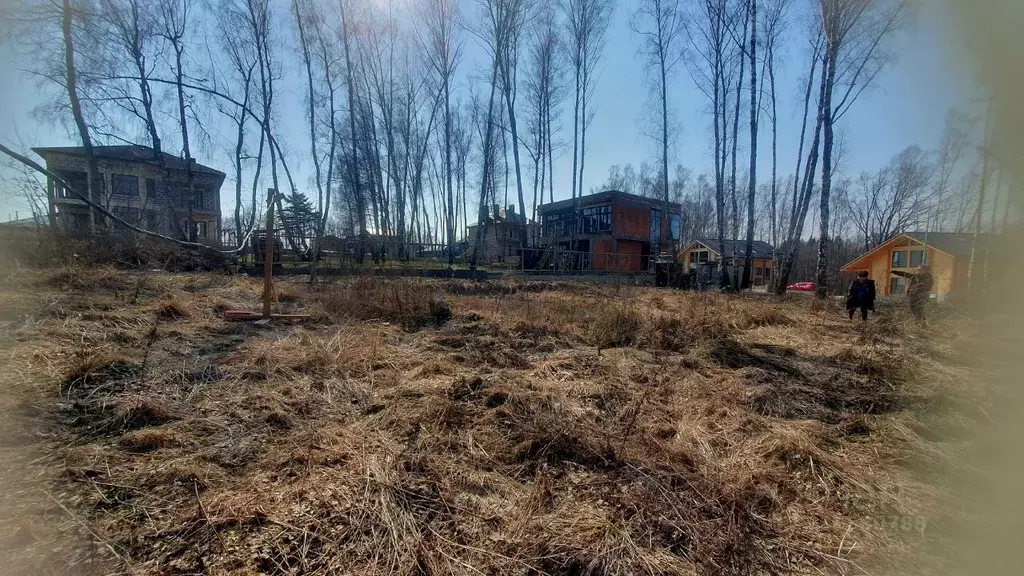 Участок в Московская область, Домодедово Фламандия кп, 299 (8.0 сот.) - Фото 1