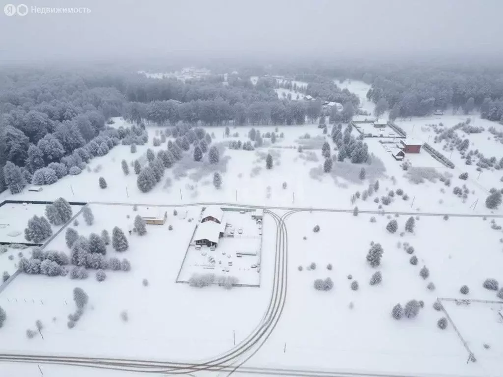 Участок в Ярославский муниципальный округ, село Лютово (15 м) - Фото 1