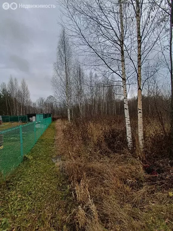 Участок в муниципальное образование Киров, СДТ Надежда (6.31 м) - Фото 0