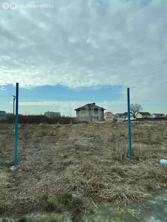 Участок в Калининградская область, Гурьевский муниципальный округ, ... - Фото 1