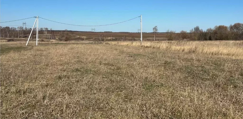 Участок в Московская область, Кашира городской округ, д. Никулино  ... - Фото 0