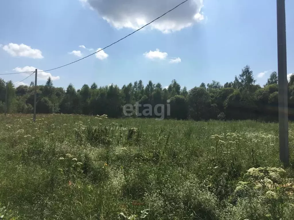 Участок в Калужская область, Бабынинский муниципальный округ, ... - Фото 1