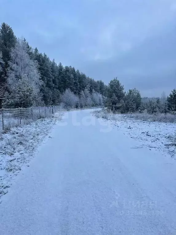Участок в Татарстан, Казань ул. 4-я Заповедная (12.7 сот.) - Фото 1