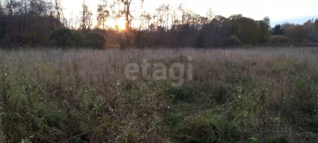 Участок в Псковская область, Порховский муниципальный округ, д. ... - Фото 1