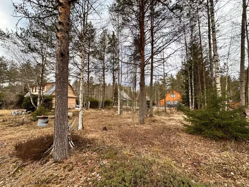 Участок в Ленинградская область, Выборгский район, Рощинское городское ... - Фото 2