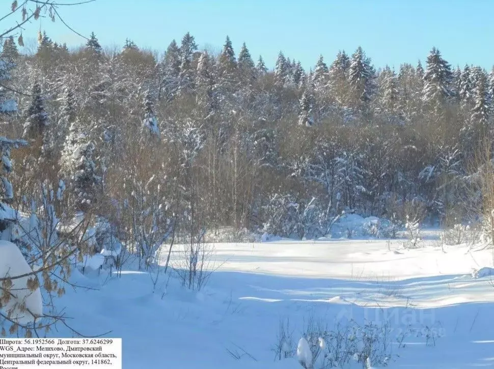 Участок в Московская область, Дмитровский муниципальный округ, д. ... - Фото 1