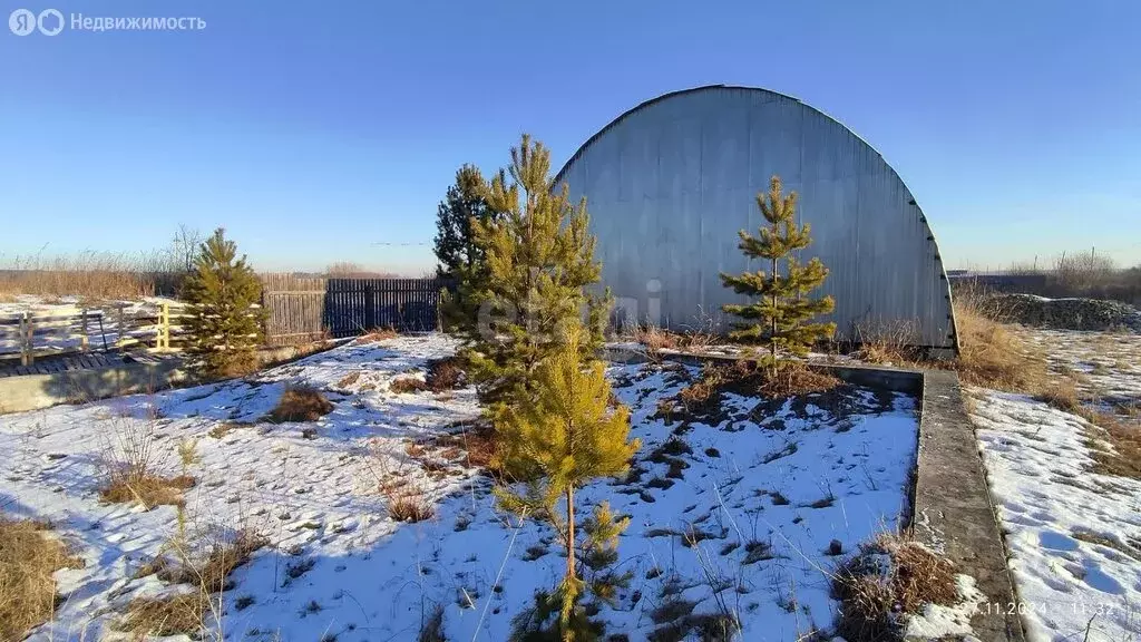 Участок в деревня Фадюшина, Полевая улица (24 м) - Фото 1