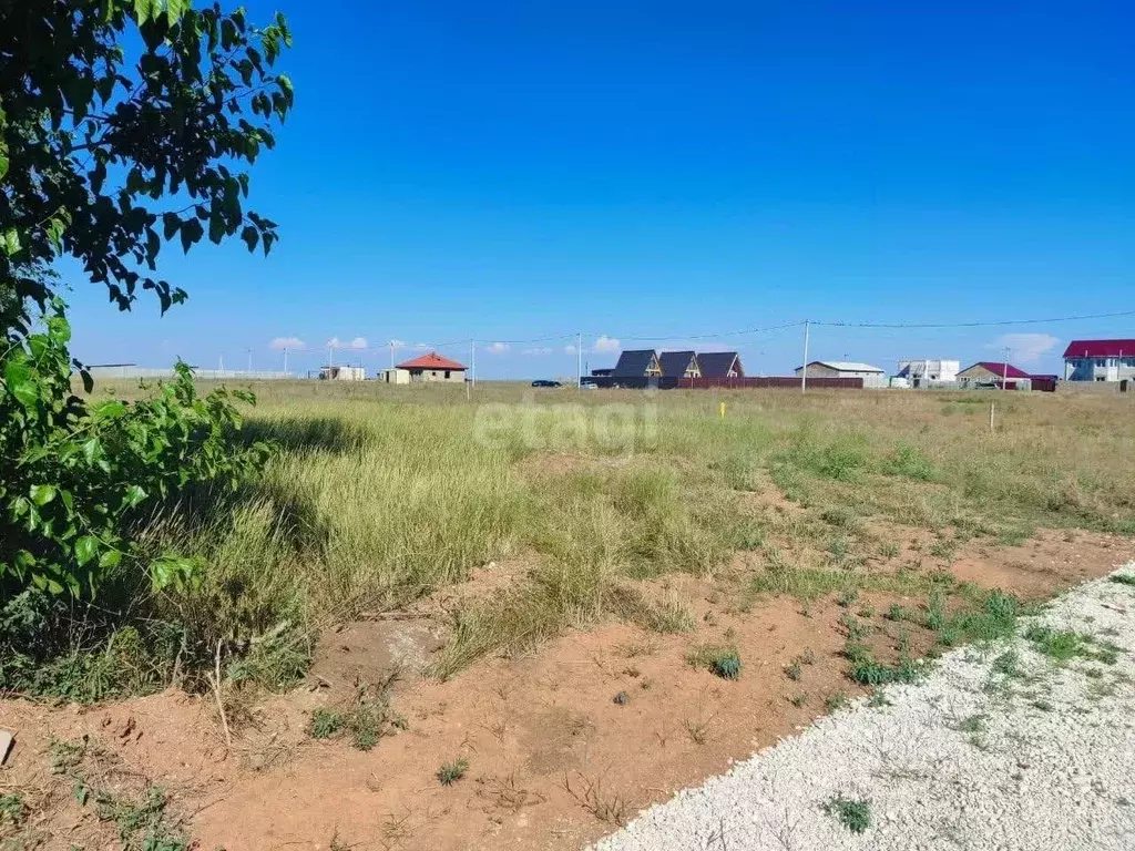 Участок в Крым, Черноморский район, с. Новосельское ш. Черноморское ... - Фото 1