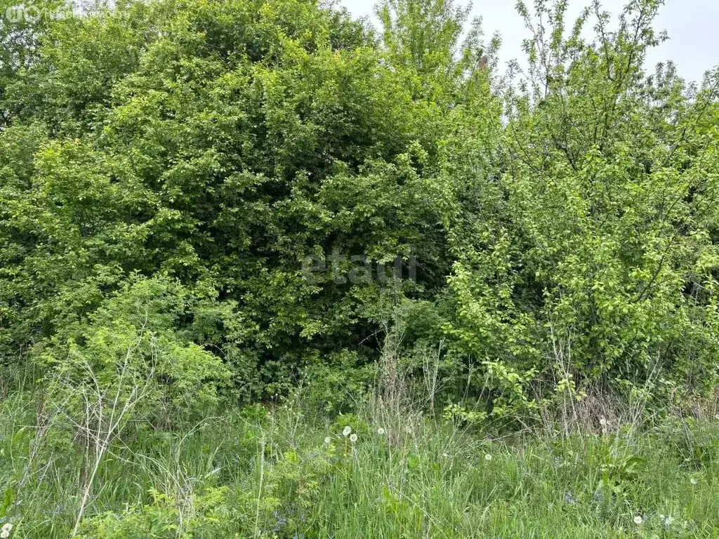Участок в Макарье, улица Ленина (25 м) - Фото 0