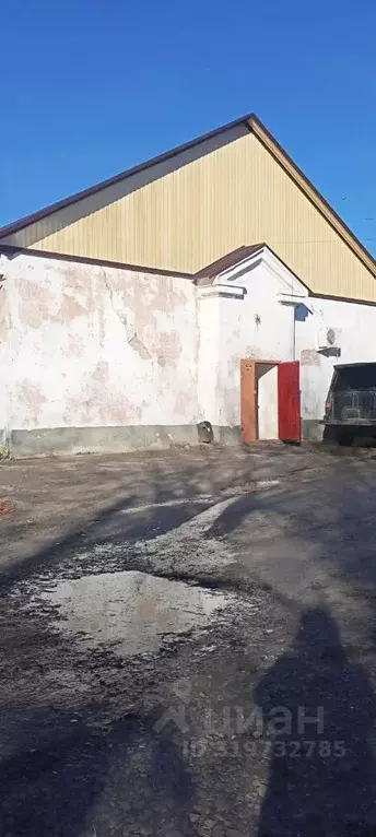 Помещение свободного назначения в Челябинская область, Карталы Зои ... - Фото 1