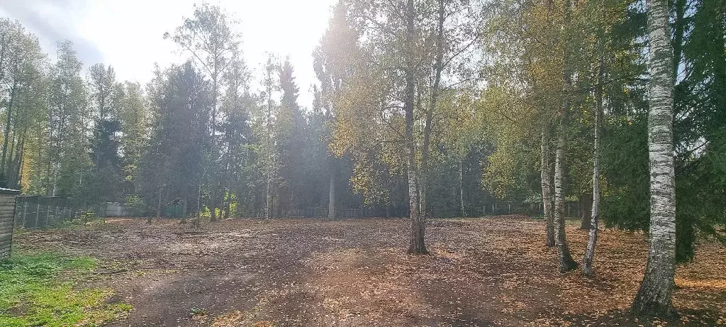 Продается участок в д. Сазонки - Фото 1