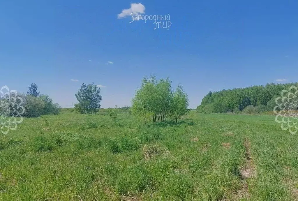 Участок в Московская область, Богородский городской округ, д. Старые ... - Фото 1
