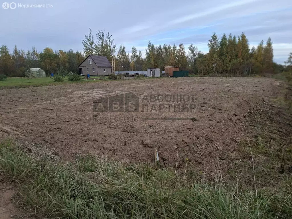 Участок в Новгородский муниципальный район, Ракомское сельское ... - Фото 1